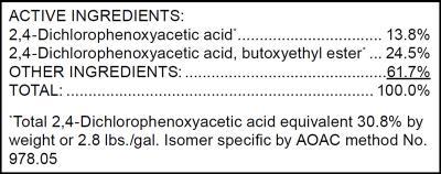 Example of ingredients statement on a pesticide product label.
