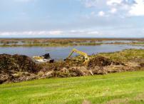 Pushing cattail, uprooted by Hurricane Wilma, to shore for harvesting by track hoe, on the south shore of Lake Okeechobee (2005)