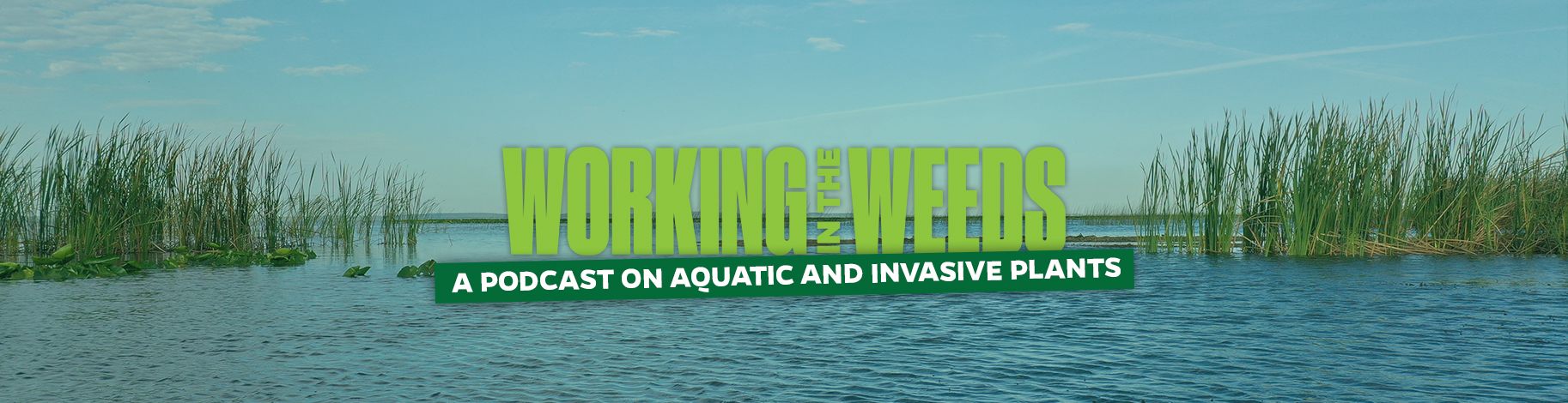 Working in the Weeds podcast logo and lake in the background