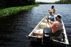 Native plants have returned to the shores and marshes of the Suwannee River, restoring fish and wildlife habitat.