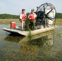 Two researchers examining hydrilla
