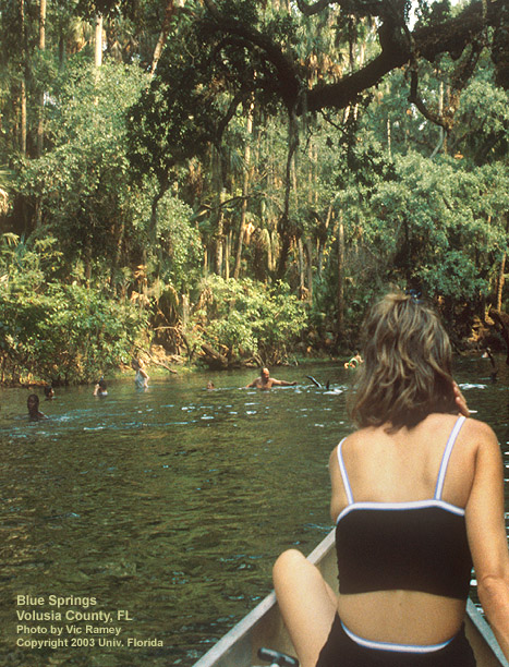 Swimmers and canoes