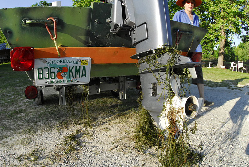 Hydrilla Boat