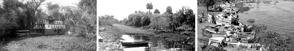 Historical photos of steamboats clearing water hyacinth